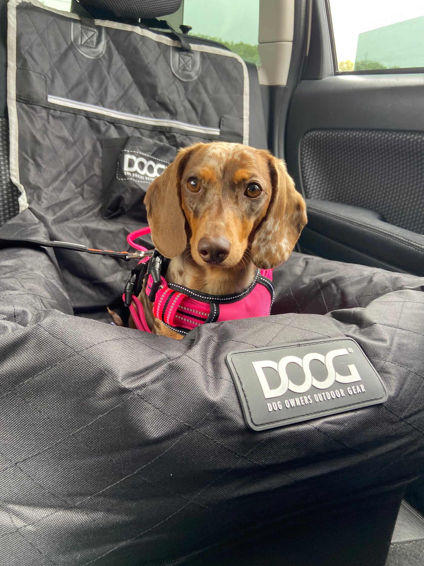 DOOG Car Seat