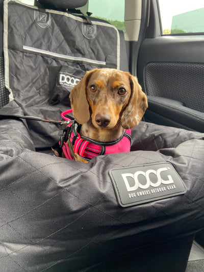 DOOG Car Seat